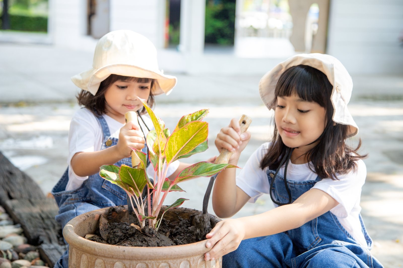 Two girls planting a plant together outdoors